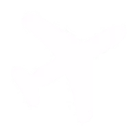 viaggi icon e1792144550448